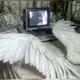 Аватар канала propalvosne://