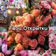 Аватар канала Твои Открытки