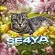 Аватар канала Se4ya | SO2