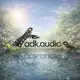 Аватар канала adk.audio