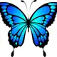 Аватар канала 🦋Наргис Дубайская🦋