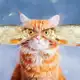 Аватар канала Дайте рыбов!