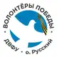 Аватар канала Волонтёры Победы ДВФУ
