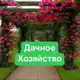 Аватар канала Дачное хозяйство