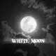 Аватар канала [ 月 ] . . # ' white moon . »
