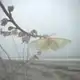 Аватар канала Jellyfish Bay