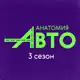 Аватар канала Анатомия Авто 🏁3 сезон!