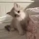 Аватар канала психомемы <3
