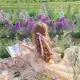 Аватар канала lemina & мир книг ✨️