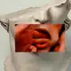 Аватар канала V u l g a r s