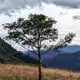 Аватар канала Атманикетан🌿