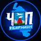 Аватар канала ЧП | БАРНАУЛ