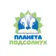 Аватар канала Школа "Планета Подсолнух"🌻