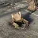 Аватар канала iFórkash