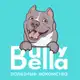Аватар канала Лакомства для собак BULLY BELLA