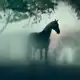 Аватар канала Savras_style