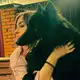 Аватар канала HelpAnimals - Помощь животным/Дом добра