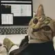 Аватар канала sqirple portfolio