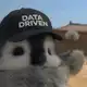 Аватар канала Data Pengu