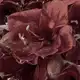 Аватар канала 《dream.Margaret》˳✧༚