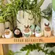 Аватар канала Urban botanica