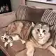 Аватар канала отзывы meant2hurt