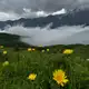 Аватар канала Горец