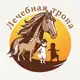 Аватар канала ЛЕЧЕБНАЯ ТРОПА |