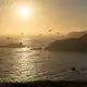 Аватар канала sunset