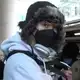 Аватар канала моногамия