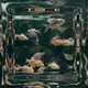 Аватар канала 🦈𝚆𝚘𝚖𝚙'𝚜 𝚜𝚠𝚊𝚖𝚙🦈