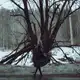 Аватар канала раушкор
