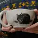 Аватар канала [ птичье гнездо ] ceramics