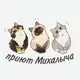 Аватар канала Приют Михалыча