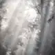 Аватар канала coop w tfn 🐈‍⬛