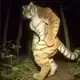 Аватар канала Macan Ton