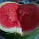 Аватар канала Арбуз 🍉