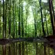 Аватар канала Грибной бор 🍄