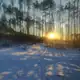 Аватар канала Из Сибири с любовью
