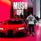 Аватар канала MUSH OPT
