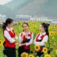Аватар канала 华纳赌场-新加坡赌场