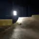 Аватар канала Damir_hzzz