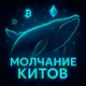 Аватар канала Молчание Китов 🐋