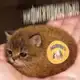 Аватар канала my4kushko
