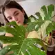 Аватар канала N.Plants