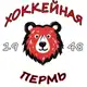 Аватар канала Хоккейная Пермь🧸