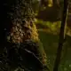 Аватар канала φωτοσύνθεσις