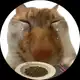 Аватар канала ✶⋆.˚