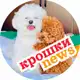Аватар канала Крошки news