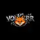 Аватар канала Volkerrizi